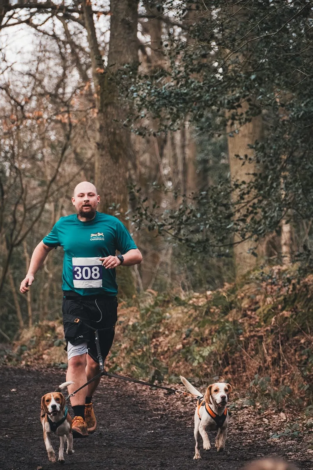 portrait of a focused tech professional